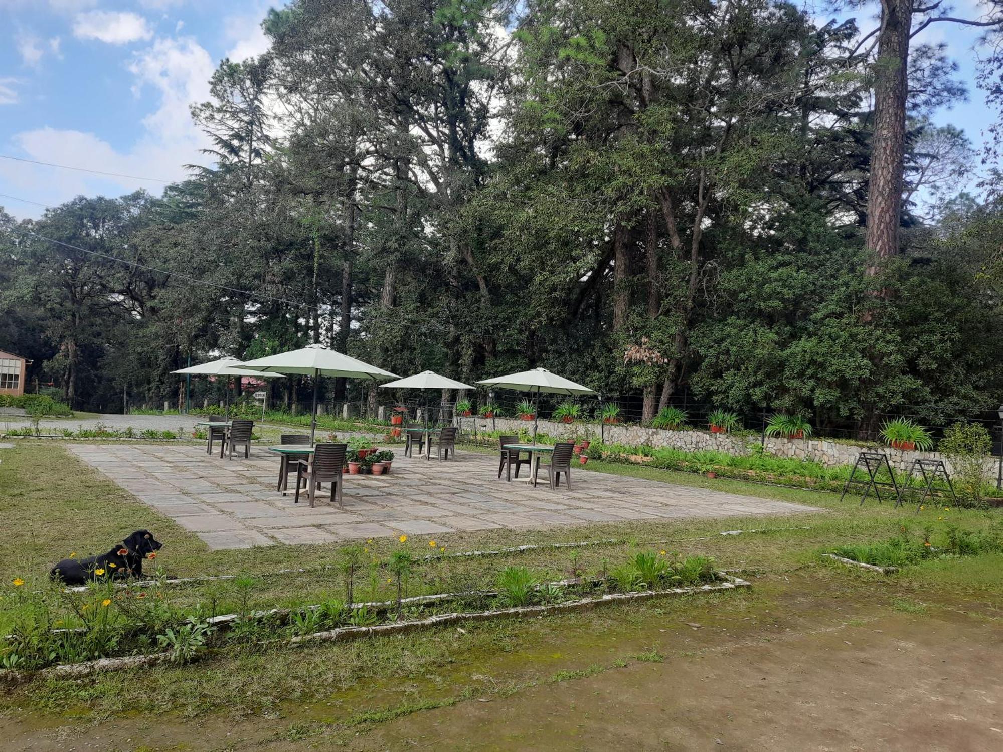 West View Hotel Ranikhet Exterior foto